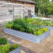 Galvanized Raised Garden Beds for Vegetables Large Metal Planter Box Steel Kit Flower Herb, 8X4X1Ft