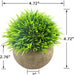 Mini Artificial Plants, Plastic Fake Green Grass Faux Greenery Topiary Shrubs with Grey Pots for Bathroom Home Office Décor, House Decorations (1)