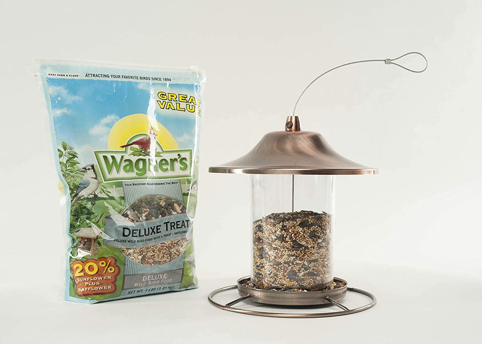 62067 Deluxe Treat Blend Wild Bird Food, 4-Pound Bag