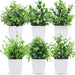 6 Packs Fake Plants, Mini Artificial Plants Indoor for Home Farmhouse Bathroom Shelf Decor…