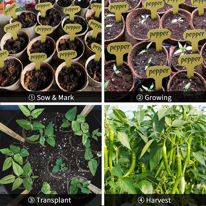 3”Seed Pots for Planting,50 Pack Seed Starter Peat Pots,Heavy Duty Thickened Peat Pots for Seedlings,Paper Pulp Peat Pot Organic Germination Starter Pots for Planting,Planting Cups for Seeds