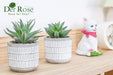 Set of 2 Succulents Plants Artificial Fake Plants for Living Room Bathroom Bedroom Aesthetic Home Kitchen Decor