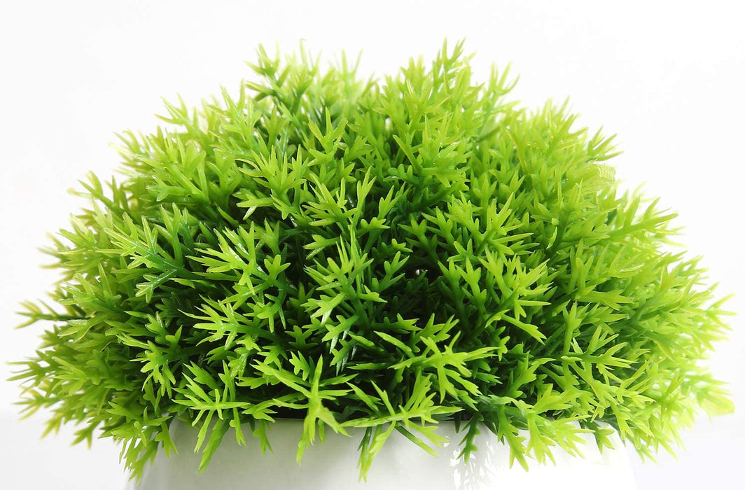 4 Pcs Mini Artificial Plants Potted Small Fake Plants for Shelf Green Plant in White Plastic Pot for Home Bathroom Decor Faux Plants (White, Set of 4)
