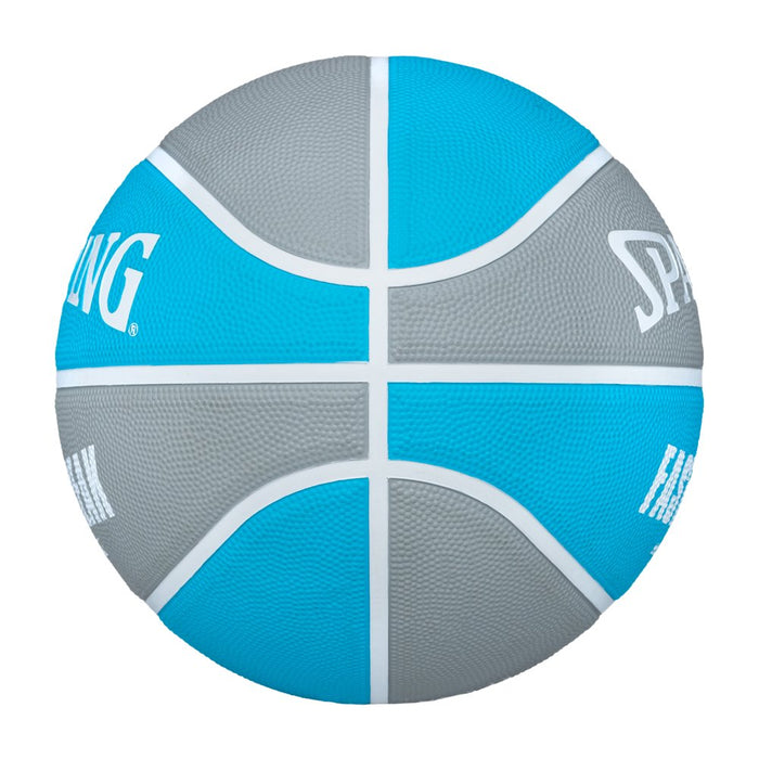 Fast Break All Surface Blue/Silver Basketball 29.5"