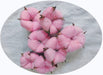 7 Natural Cotton Dried Flower Ornaments, Christmas Decorative Vases Showcasing Wreaths of Family Wedding Flowers, Nordic Rustic Decor (Pink)