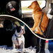 Dog Seatbelt Leash for Cars, 2-Packs Pet Safety Seat Belt Harness with Shock Absorbing Bungee and Reflective Threads for Car Dogs Restraint