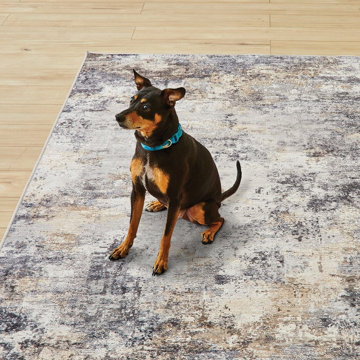 Better Homes & and Gardens Abstract Machine Washable Area Rug, Neutral, 5'X7'