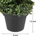 2 Pack Artificial Boxwood Topiary Tree, 4Ft Topiary Plants Potted Trees Decoration for Front Porch Home Living Room, Indoor/Outdoor Use