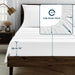 Queen Bed in a Bag White Seersucker Comforter Set with Sheets 7-Pieces All Season Bedding Sets with Comforter, Pillow Sham, Flat Sheet, Fitted Sheet and Pillowcase