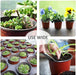 120 Packs 4 Inches Plastic Plant Nursery Pots with 15 Pcs Plant Labels, Seed Starting Pot Flower Plant Container for Succulents, Seedlings, Cuttings, Transplanting