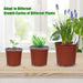 36Packs 5/4/3.5 Inch Nursery Pots with Clear Humidity Domes, Seed Starting Pots with Drainage Holes, Garden Containers for Seedlings, Succulents,Cuttings,Flowers and Vegetables with 50PCS Plant Labels