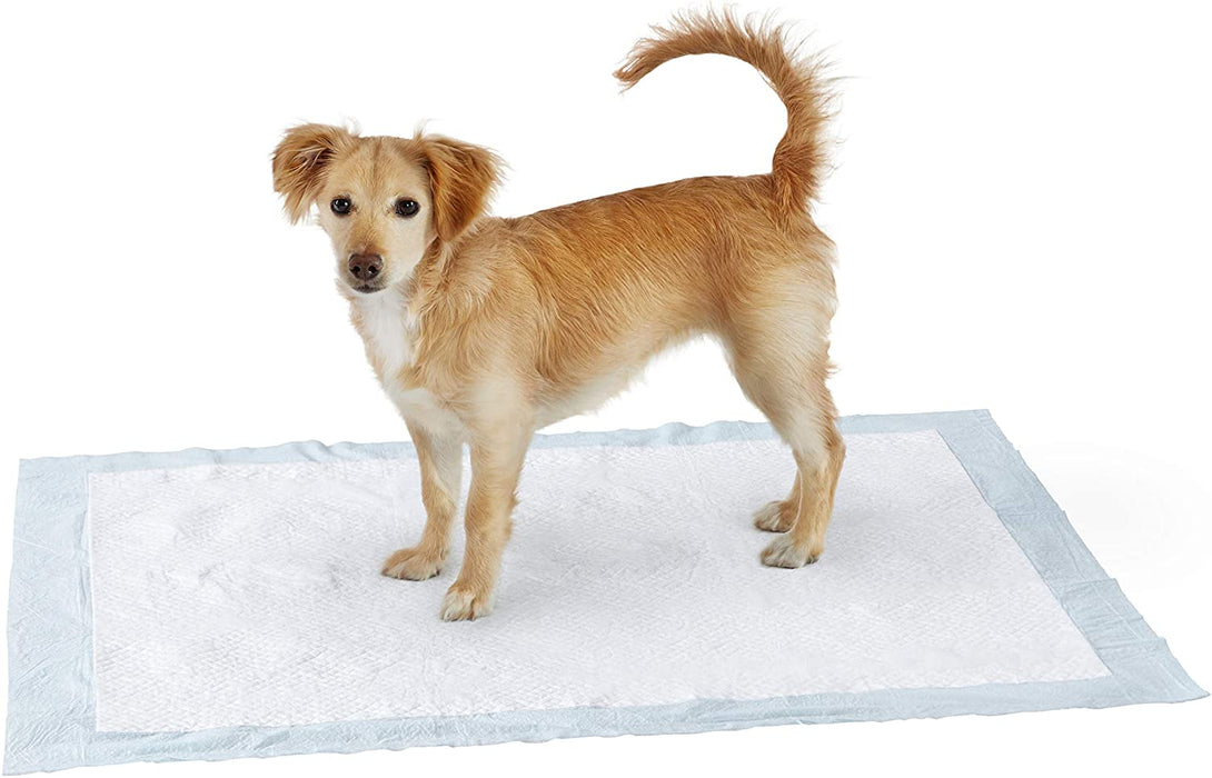 Dog and Puppy Pee Pads with Leak-Proof Quick-Dry Design for Potty Training, Standard Absorbency, Regular Size, 22 X 22 Inches - Pack of 100