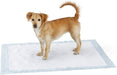 Dog and Puppy Pee Pads with Leak-Proof Quick-Dry Design for Potty Training, Standard Absorbency, Regular Size, 22 X 22 Inches - Pack of 100