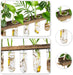 3 Tier Large Propagation Stations Wall Hanging Plant Terrarium with Wooden Stand, Retro Propagation Test Tube for Hydroponic Plants Cutting Flower, Propagator Home Office Patio Decor-Brown