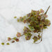 For Poly Silk Grape Leaf Bush | for Indoor Decor Area Home & Garden