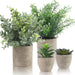 GIRLS Small Fake Plants Set of 4 - Eucalyptus Rosemary Succulents Plants Artificial in Pots for Home Decor Indoor - Mini Faux Potted Plants for Bedroom Bathroom Living Room Desk Shelf Decoration