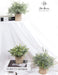 Mini Potted Fake Plants Artificial Small Eucalyptus Plants for Home Office Desk Farmhouse Decor
