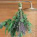 52 PCS Mix Dried Eucalyptus & Lavender Flowers Bundles for Shower, 17'' Natural Real Hanging Silver Dollar Eucalyptus Leaves Stem, Fresh Shower Plants, Fragrance, Home Wedding Decor