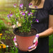 50 Pcs 6" Plastic Plants Nursery Seedlings Pot/Pots Flower Plant Container Seed Starting Pots