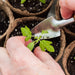 Peat Pots, 120 Pcs 3.15 Inch Seed Starting Pots with Drainage Holes round Nursery Pot, Biodegradable Plants Pots with Bonus 20 Plant Labels