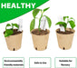 Baxrou 120 Packs 3.15 Inch Peat Pots Plant Starters for Seedling, Biodegradable Herb Seed Starter Pots Kits, Seedling Pots, Garden Germination Nursery Pot Wit 30 Plant Labels, 2 Transplant Tools.