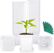 30Pcs 2.7 Inches Nursery Pots with Trays, 50Pcs Plant Labels, Thickened Square Transplanting Pots Kit, Plant Seed Starter, Drain Holes, Germination, Home Décor, Garden, Balcony, White