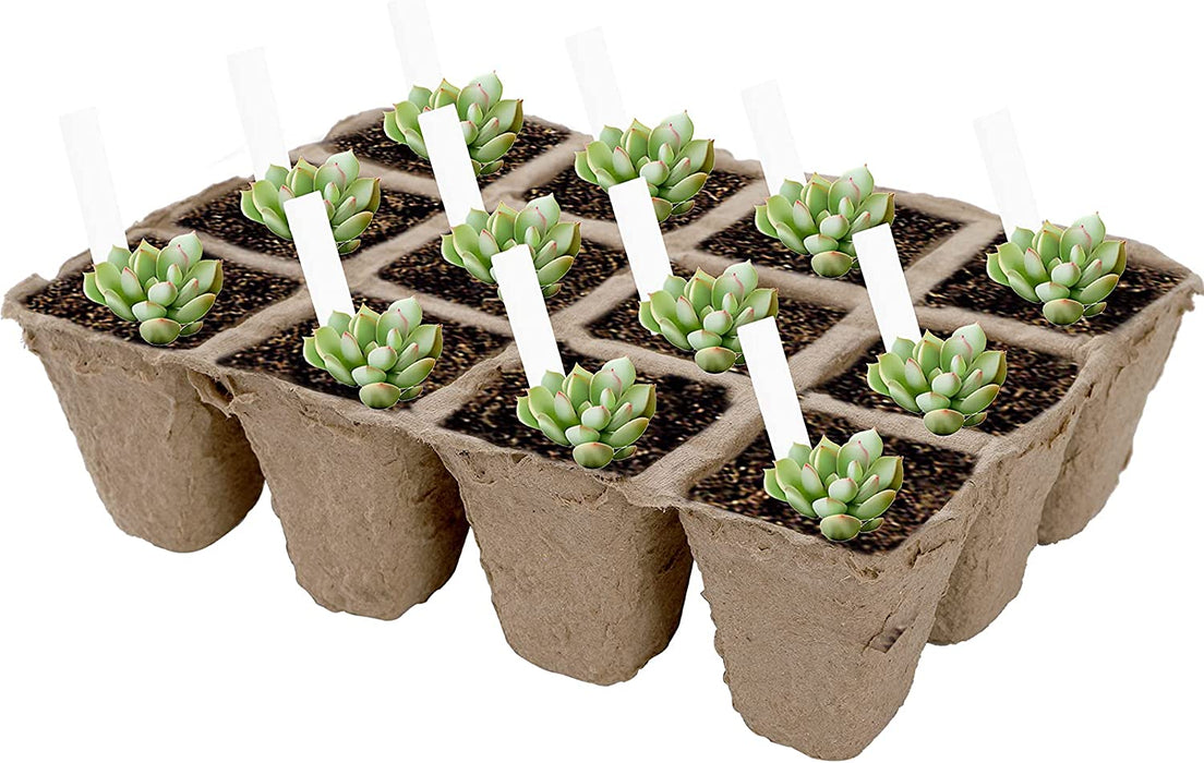 40 Pack Peat Pots Seed Starter Trays, 480 Cells Germination Seedling Pots, Organic Biodegradable Plant Germination Tray with 40 Plant Labels for Vegetable Flower, Herbs, Indoor Outdoor Garden