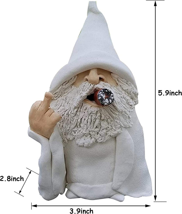 Tirifer Garden Gnome, Wizard Gnome 3D Dwarves, Polyresin Outdoor Sculpture Middle Finger Gnome Statue Garden Figurine Art Garden Decoration for Lawn Yard Balcony Porch Patio