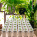 36 Set Plant Nursery Pots with Humidity Dome, Seed Starter Pots Biodegradable Peat Pots, Seedlings Planting Pots with Plant Labels for Indoor Outdoor Garden