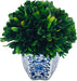 7" Preserved Natural Boxwood in Ceramic Pot - Plant and Table Centerpiece - Stunning Greenery and Plant Decor for Home - Blue & White (Small 7" Tall Topiary)