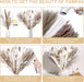 120 Pcs Dried Pampas Grass Dried Flowers Bouquet Natural Pampas Grass Decor White & Brown Pompous Grass Bunny Tails Reed for Farmhouse Rustic Party Wedding Boho Home Decorations, 17.5''