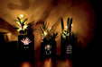 Set of 3 Artificial Succulents with Led Lights in Wooden Box, Artificial Plants Plastic Fake Topiary for Home/Office Decorations, Table Centerpiece