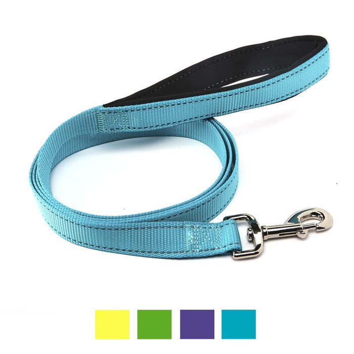 Vibrant Life Reflective Comfort Dog Leash, Large, Teal, 6Ft X 1In