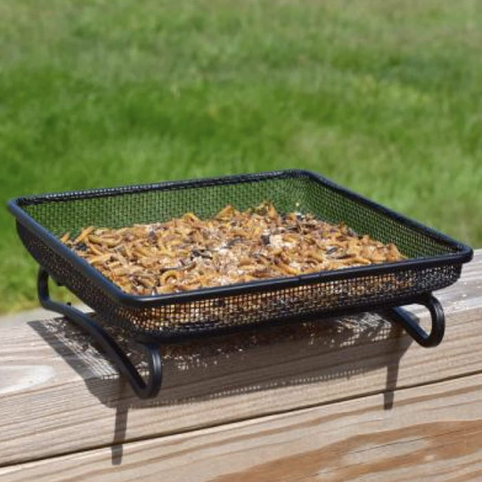 Wildlife and Bird Feeder, Deck and Ground Tray Feeder for Birds, Squirrels, Chipmunks, and Rabbits