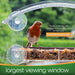 Window Bird Feeders with Strong Suction Cups - Home Bird Suction Cup Bird Feeder Window Clear Bird Feeders for Window Bird Feeders for outside for Viewing Bird Watching Squirrel Proof Bird Feeder