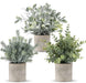 3 Pack Mini Potted Artificial Plants Fake Eucalyptus Greenery in Pots for Home Office Desk Decor