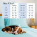 6 PC Sheet Set Sheets Deep Pockets 18" Eco Friendly Wrinkle Free Sheets Machine Washable Hotel Bedding Silky Soft - Aqua Queen