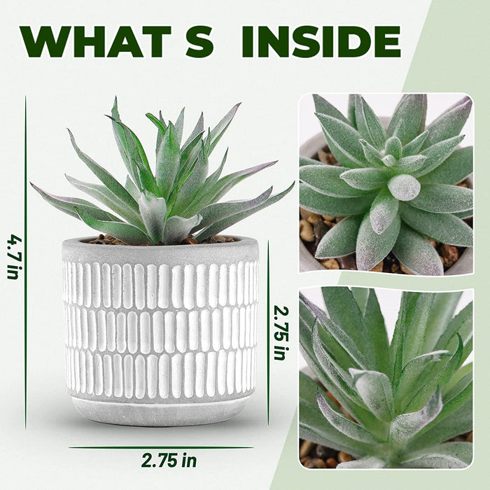 Set of 2 Succulents Plants Artificial Fake Plants for Living Room Bathroom Bedroom Aesthetic Home Kitchen Decor