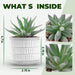 Set of 2 Succulents Plants Artificial Fake Plants for Living Room Bathroom Bedroom Aesthetic Home Kitchen Decor