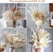 120 Pcs Dried Pampas Grass Dried Flowers Bouquet Natural Pampas Grass Decor White & Brown Pompous Grass Bunny Tails Reed for Farmhouse Rustic Party Wedding Boho Home Decorations, 17.5''