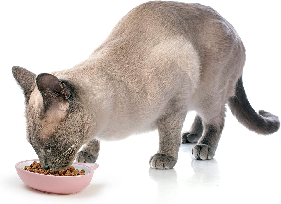 Petrageous 70658 Oval Frisky Kitty Stoneware Cat Bowl 5.5-Inch Wide and 1.5-Inch Tall Saucer with 5.3-Ounce Capacity and Dishwasher Safe Is Great for Cats, Pink