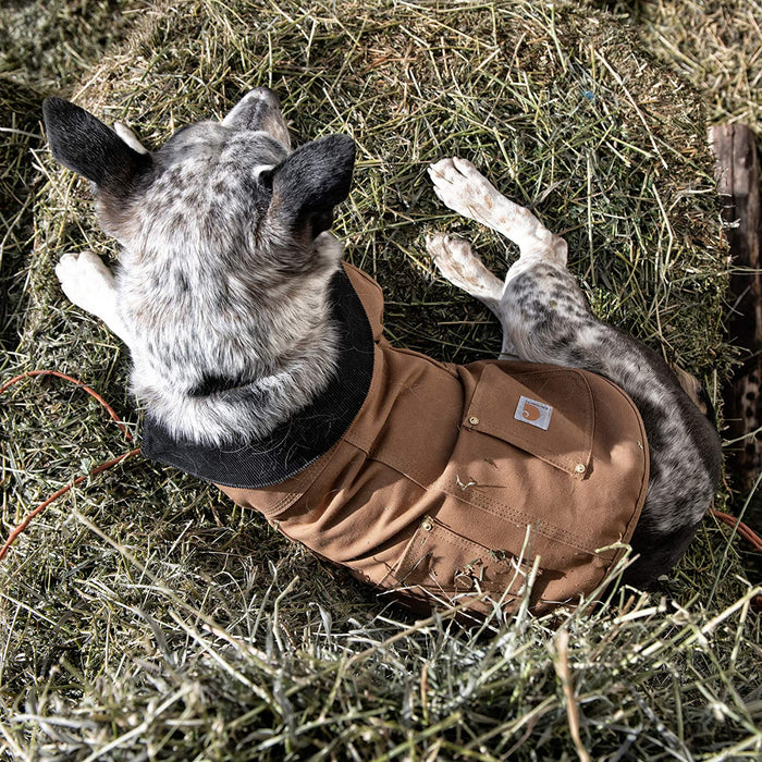 Firm Duck Insulated Dog Chore Coat Brown/Brass