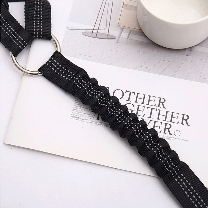 Adjustable Pet Dog Seat Belt Harness, Dog Cat Seat Belt Leash Safety Leads Harness, Vehicle Car Seatbelt Harness for Pets with Elastic Nylon Bungee Buffer for Shock Attenuation