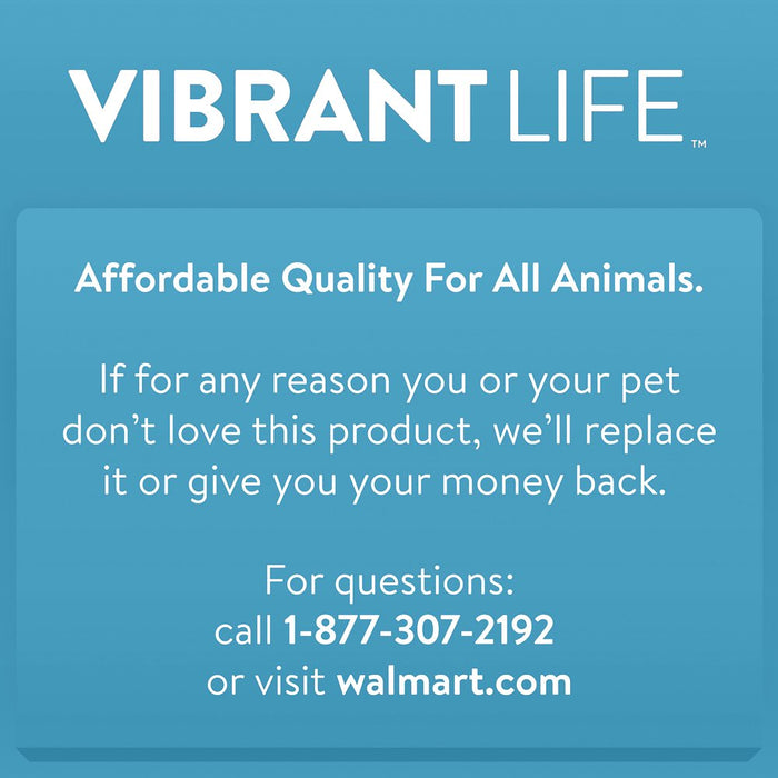 Vibrant Life Stainless Steel Dog Bowl, Large