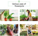 200-Pack 4 Inch Plastic Plant Nursery Pots Come with 200 Pcs Plant Labels, Seedling Flower Plant Container and Seed Starting Pots