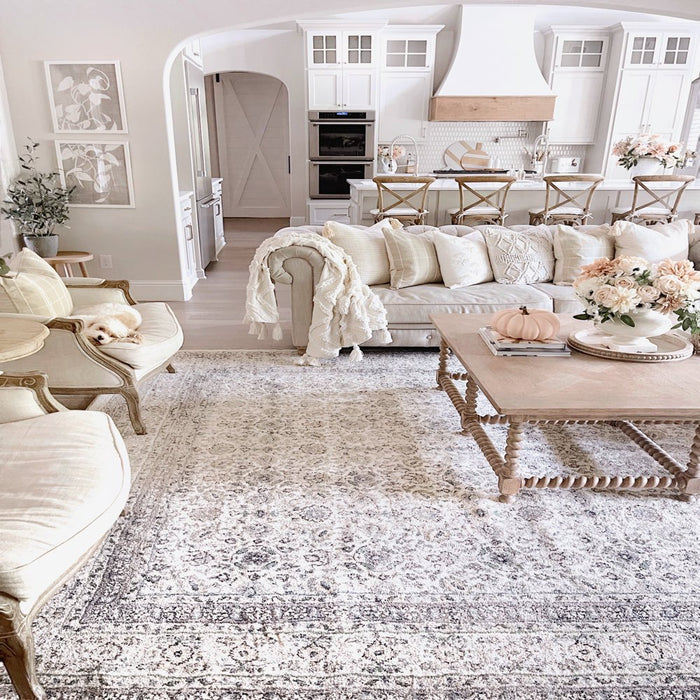 My Texas House Austin, Traditional, Woven Area Rug, 5'3" X 7'6"