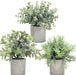 3 Pack Mini Potted Fake Plants Eucalyptus Rosemary Boxwood Artificial Plastic Plants for Bathroom Shelf Home Office Desk Table Decor Indoor