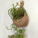 Handmade Woven Hanging Vegetable Fruit Basket Teardrop Shaped Hanging Wall Basket Home Kitchen Storage Holder