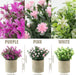 GIRLS Small Fake Plants Set of 3 Home Decor Indoor, Potted Artificial Plant Flowers Living Room Bedroom Bathroom Aesthetic, Mini Faux Plant in Pots for Desk Shelf Office, Purple Pink White