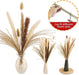 65PCS Pampas Grass Decor, Including Pompas Floral, Reed Dried Grass and Bunny Tails Dried Flowers, Natural Dried Pampas Grass Bouquet for Boho Decor Wedding, Home Decoration